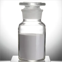 Tablet Binder Copovidone CAS 25086-89-9